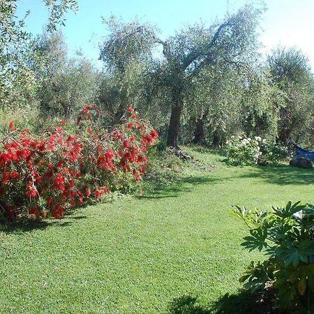 Bed and Breakfast Il Pino Vetulonia Zewnętrze zdjęcie
