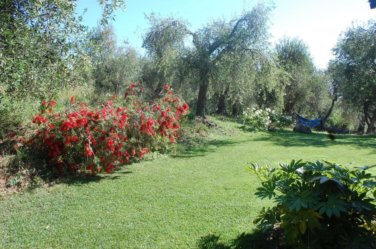 Bed and Breakfast Il Pino Vetulonia Zewnętrze zdjęcie